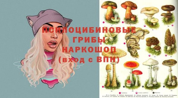 бутират Белокуриха