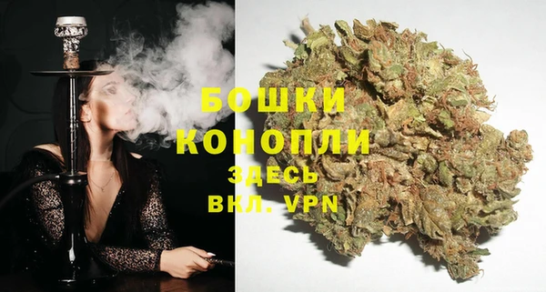 бутират Белокуриха