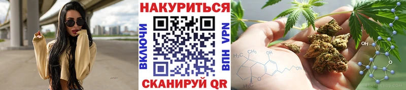 Купить где  Купино  Марихуана сатива 